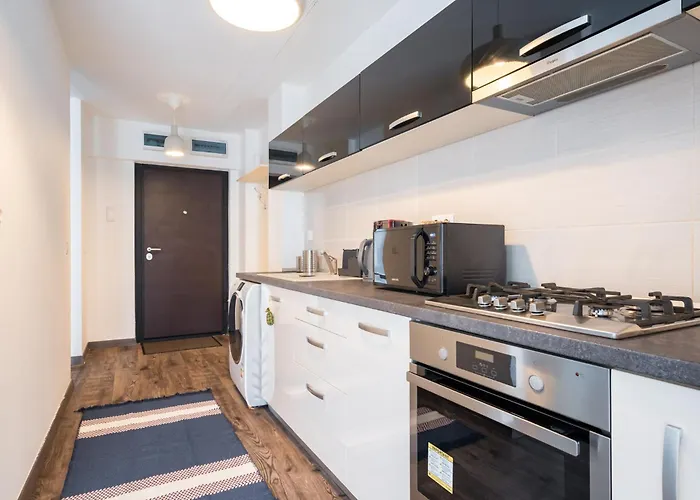 The Wheel I Belvedere * Bucarest